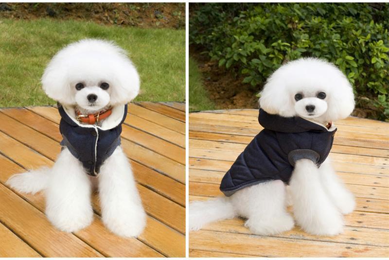 Colete de Inverno para Cachorros | Gentleman